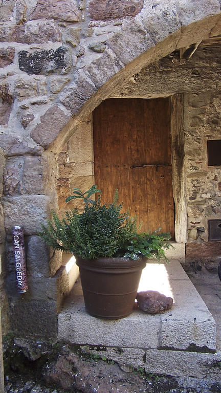 Can Salgueda Santa Pau Room photo